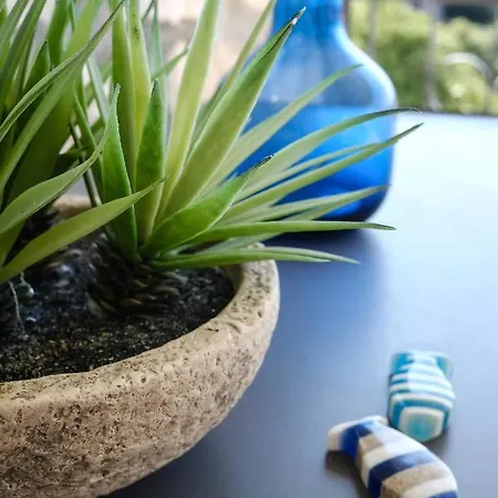 Penthouse In Old Dalmatian House - Flybridge Holiday home Hvar Town