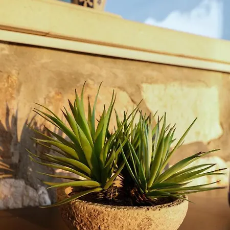 Penthouse In Old Dalmatian House - Flybridge Nyaraló *