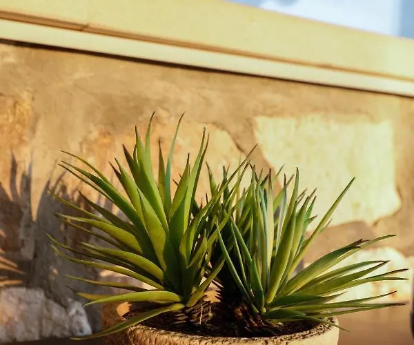 Penthouse In Old Dalmatian House - Flybridge Holiday home *