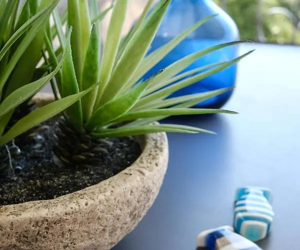 Penthouse In Old Dalmatian House - Flybridge Будинок відпочинку Хвар